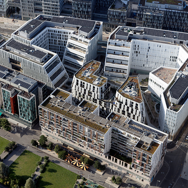 Projet de deux bâtiments, réalisation des structures bois